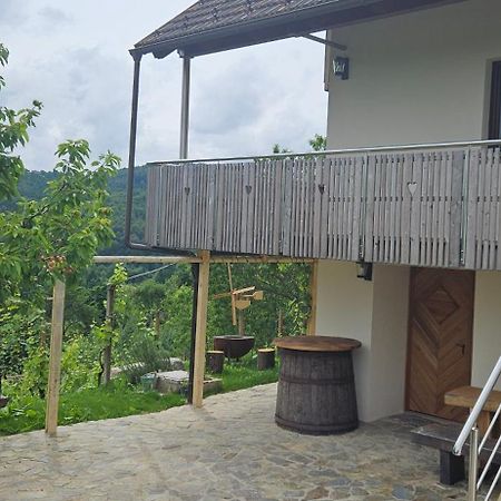 Zidanica Muhic Villa Dolenjske Toplice Exterior photo