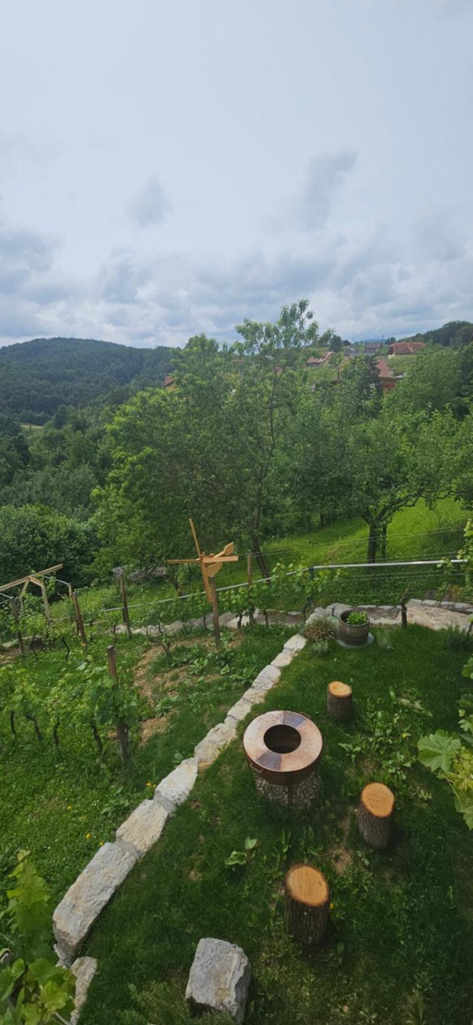 Zidanica Muhic Villa Dolenjske Toplice Exterior photo